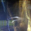 IDTW_Page3_Silver-Key.jpg